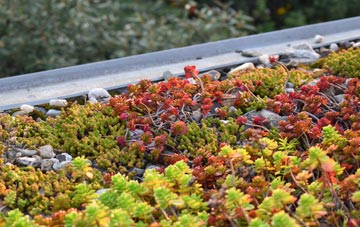 the cost of Woburn green roof installation