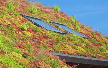 Woburn living roof systems